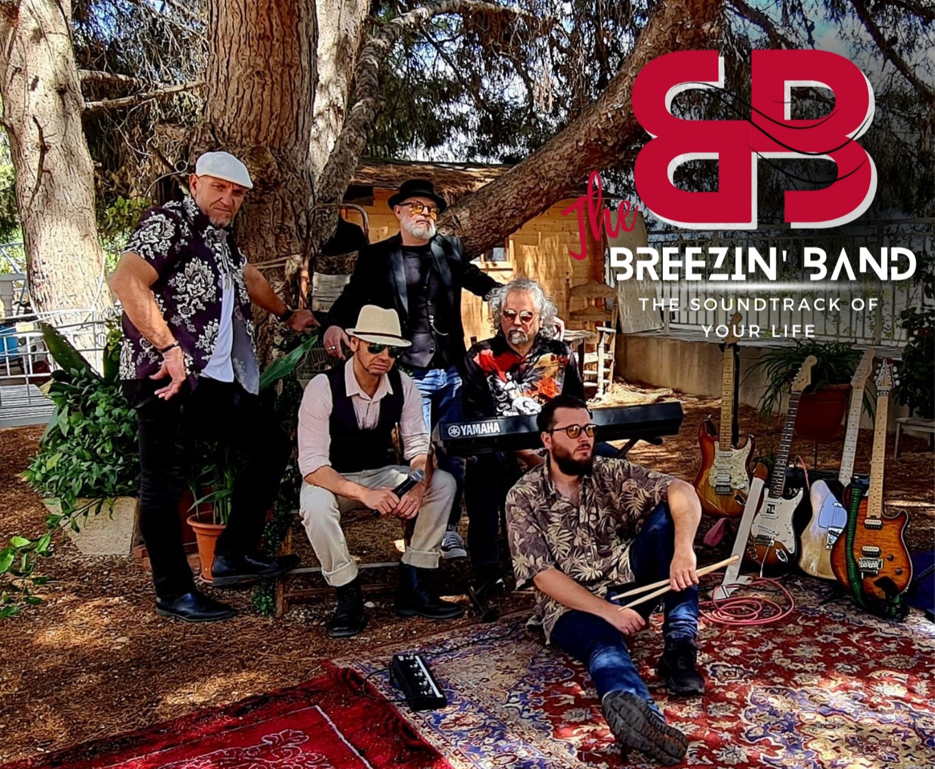 MoonMusicManager - Grupo Musical