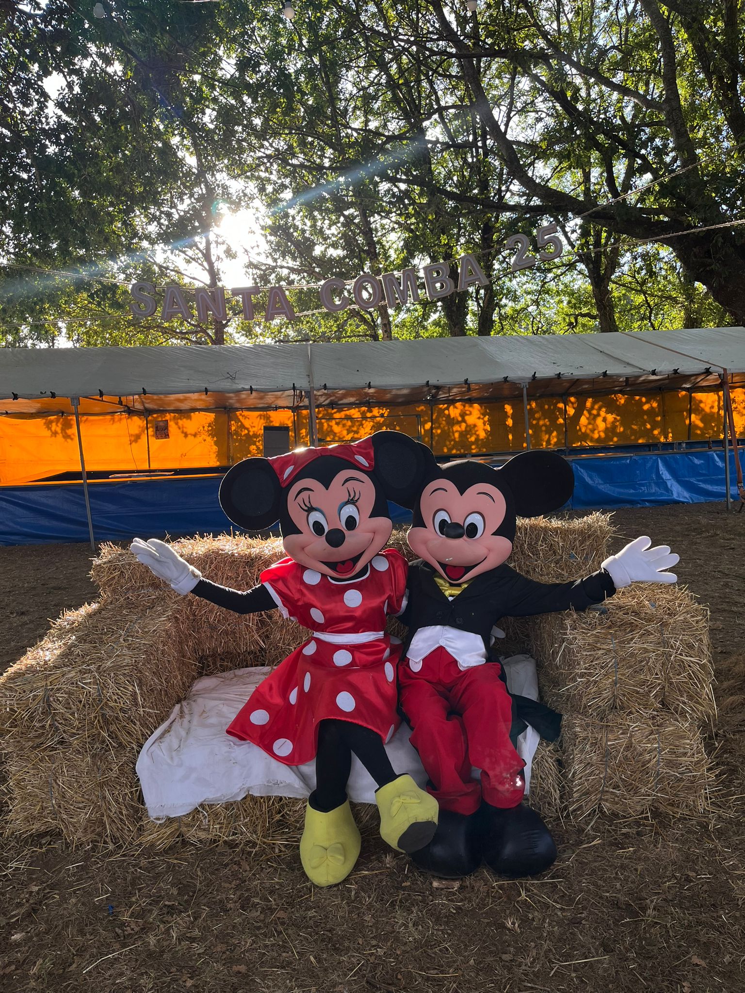 Maylandia animaciones