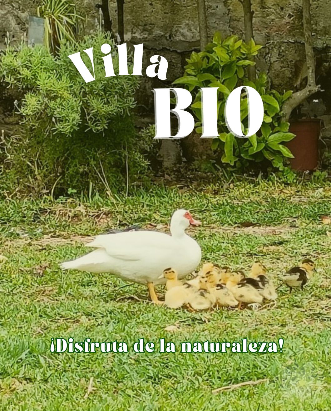 Villa Bio