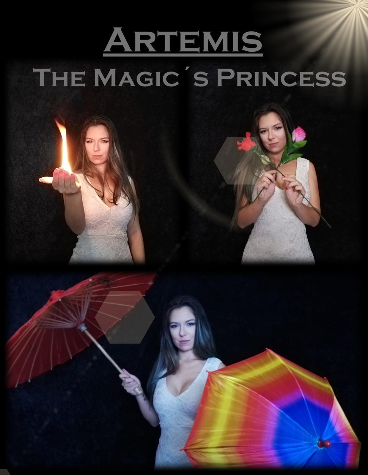 Artemis The magic's princess